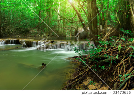 Small waterfall in the forest in summer. 33473636