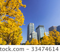 Marunouchi in the fall 33474614