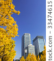 Marunouchi in the fall 33474615