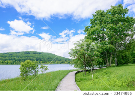 Lakeside hiking trails 33474996
