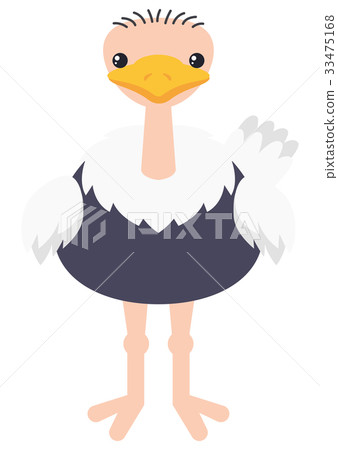 Ostrich on white background 33475168