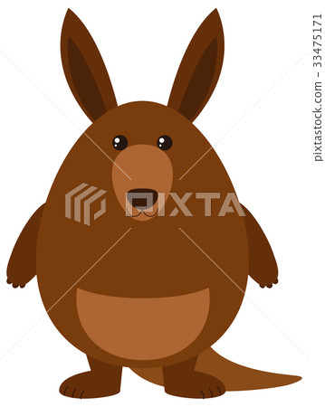 Fat kangaroo on white background 33475171