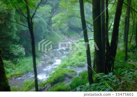 Mountain stream in the forest, Nagano prefecture, Ueda city, Kotohira plateau. 33475601