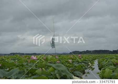 Izunuma · Festival (Miyagi Prefecture) 33475793