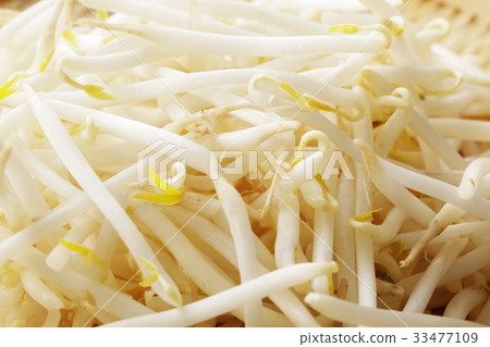 豆芽 33477109