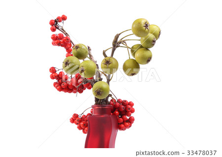 Still-life in a colored vase Still-life in a colored vase 33478037
