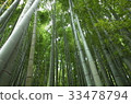 Kamakura Hokoku-ji Temple Bamboo Temple 33478794