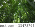 Kamakura Hokoku-ji Temple Bamboo Temple 33478795