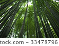 Kamakura Hokoku-ji Temple Bamboo Temple 33478796