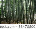 Kamakura Hokoku-ji Temple Bamboo Temple 33478800