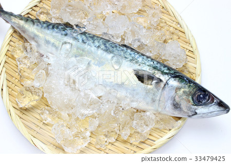 生鯖魚 33479425