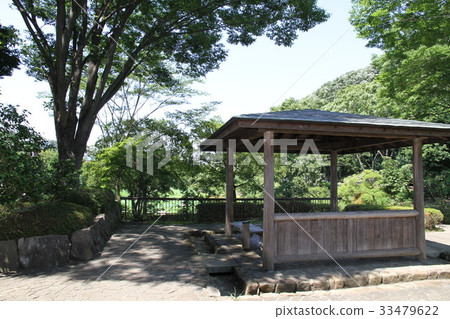 Yakushi池塘公園Toya Yakushi池塘公園Toya 33479622