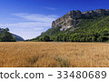 Field of wheat with mountainous backdrop 33480689