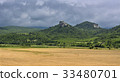 Field of wheat with mountainous backdrop 33480701