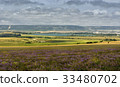 Lavender field in sunlight in the Crimea. 33480702