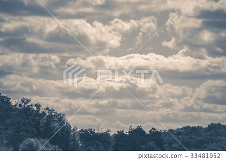 Old vintage photo. Sky clouds trees top summer 33481952