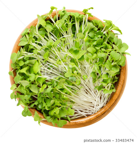 Mizuna sprouts in wooden bowl 33483474