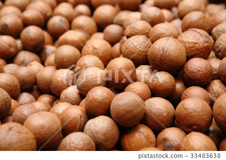Macadamia Nuts in Guatemala / Macadamia Nuts in Guatemala 33483638