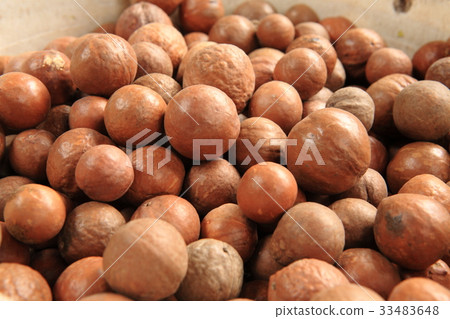 Macadamia Nuts in Guatemala / Macadamia Nuts in Guatemala 33483648
