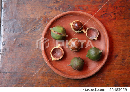 Macadamia Nuts in Guatemala / Macadamia Nuts in Guatemala 33483659