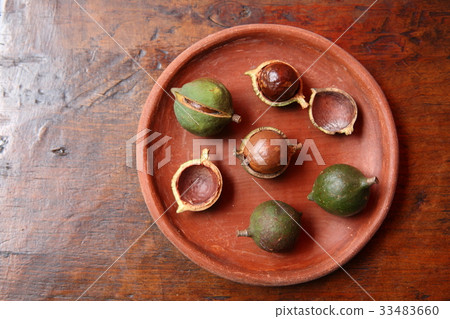Macadamia Nuts in Guatemala / Macadamia Nuts in Guatemala 33483660