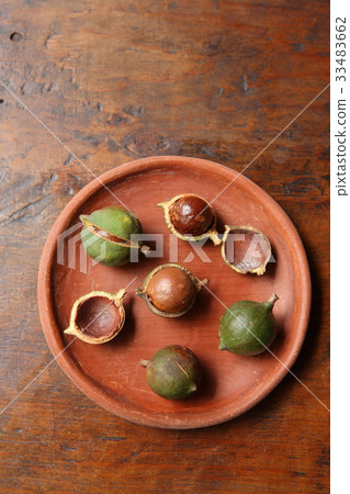 Macadamia Nuts in Guatemala / Macadamia Nuts in Guatemala 33483662
