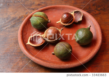 Macadamia Nuts in Guatemala / Macadamia Nuts in Guatemala Macadamia Nuts in Guatemala / Macadamia Nuts in Guatemala 33483663