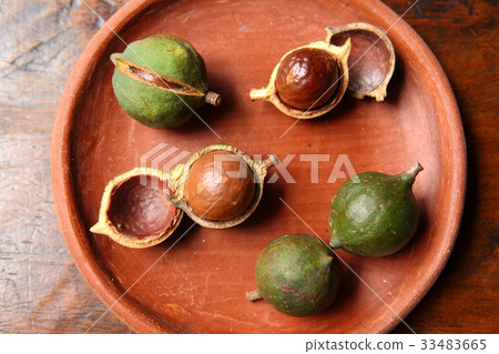 Macadamia Nuts in Guatemala / Macadamia Nuts in Guatemala 33483665