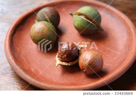 Macadamia Nuts in Guatemala / Macadamia Nuts in Guatemala 33483669