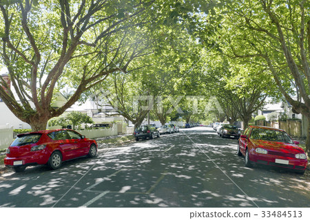 Street tree and red car Street tree and red car 33484513