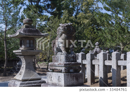 Shiba Inu和燈籠 Shiba Inu和燈籠 33484761