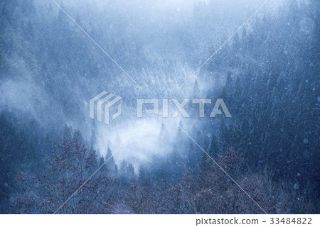 Winter forest 33484822