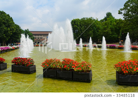 上野公園噴泉正方形花床和噴泉 照片素材 圖片 圖庫