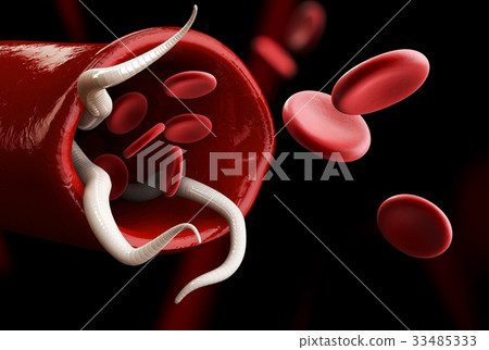 A group of Helminths with cell blood. 33485333