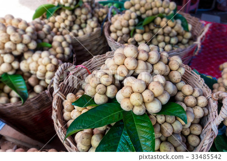 southern langsat in the big basket southern langsat in the big basket 33485542