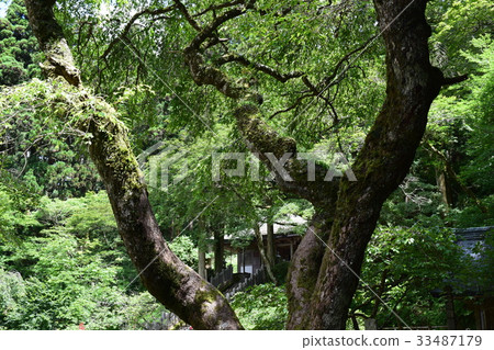 山頂的建設 33487179