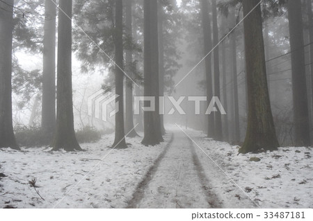 Winter mountain path Winter mountain path 33487181