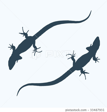 Silhouette of a lizard that creeps. Vector Silhouette of a lizard that creeps. Vector 33487931