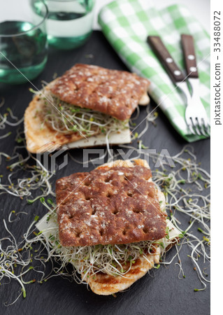 Sandwiches with grilled turkey, cheese, and leek sprouts 33488072