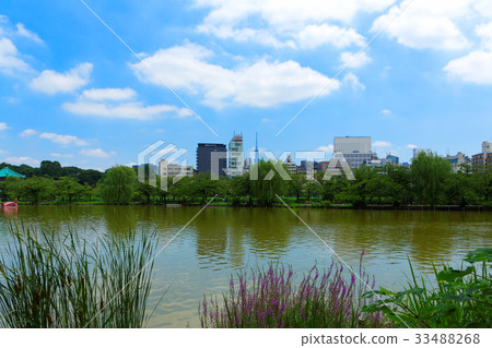 休閒船和東京天空樹在上野的二宮池塘 33488268