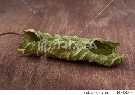 Mitragyna leaf on the wooden, clipping path 33488489