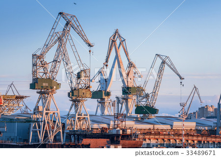 Industrial cargo cranes in the dock 33489671