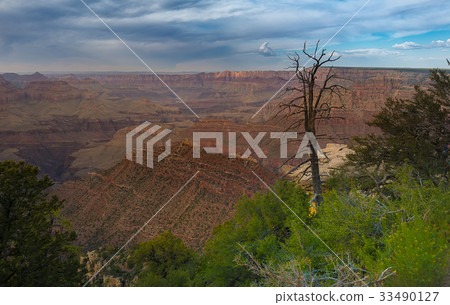 Grand Canyon National Park 33490127