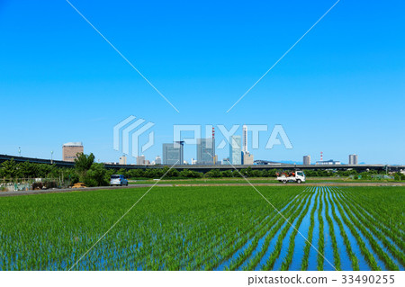 Saitama new city center and the Nankana rice field spreading blue sky 33490255