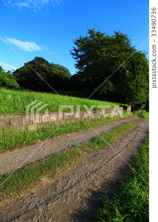 Hokokokuji Castle (summer) Hokokokuji Castle (summer) 33490736