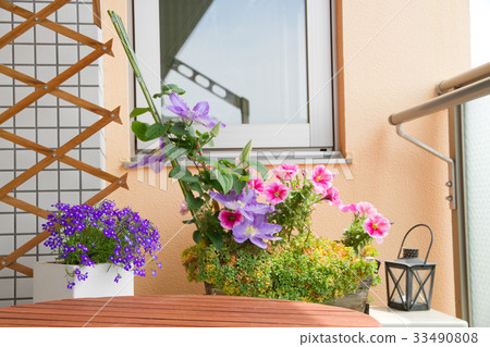陽台花春 - 初夏 33490808