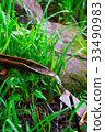water, pond, lagoon 33490983