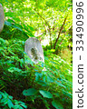buddha statue, buddhism, buddhistic 33490996