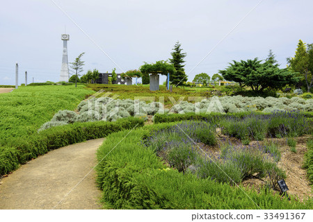Sunflower Hill Park (Ono City, Hyogo Prefecture) 33491367