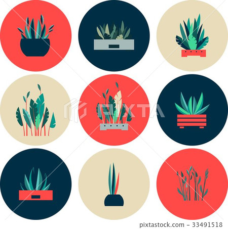 set of icons of indoor flowers - Stock Illustration [33491518] - PIXTA